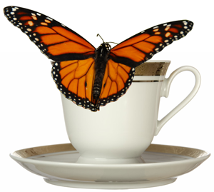 China Cups and Butterflies; Options and Ethics